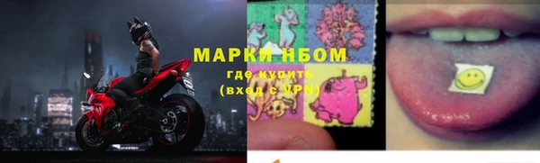 индика Аркадак